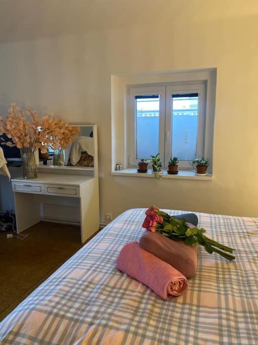Flat In The House & Dog Friendly Lejlighed *