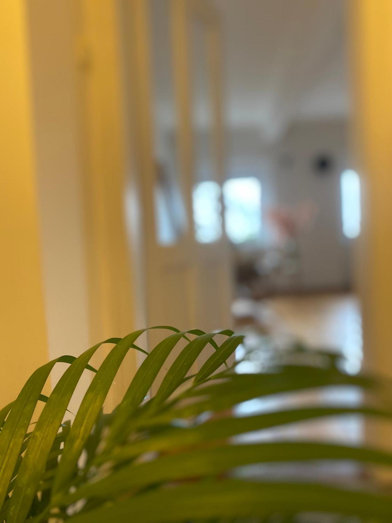 Flat In The House & Dog Friendly Lejlighed
