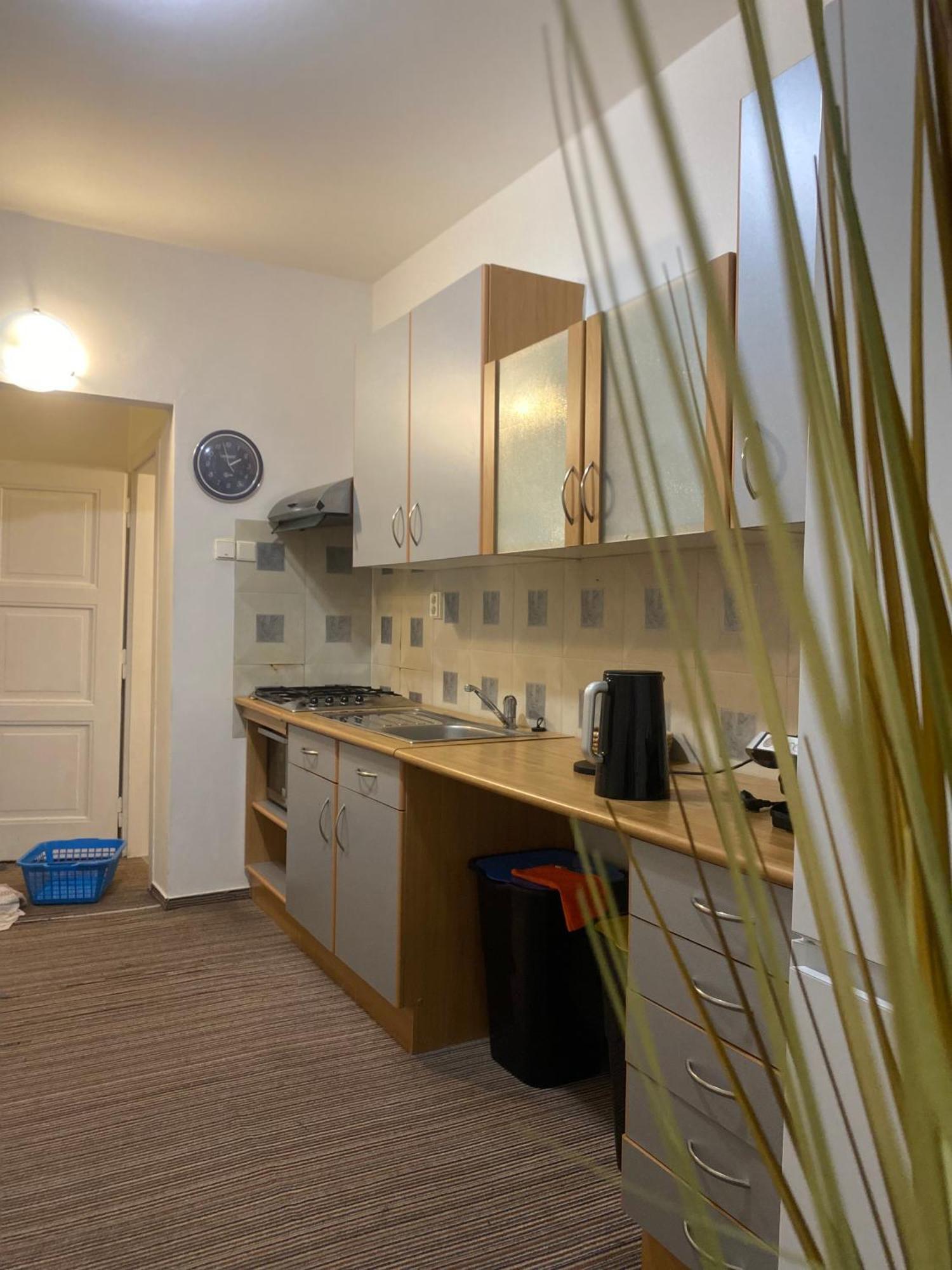Flat In The House & Dog Friendly Prag